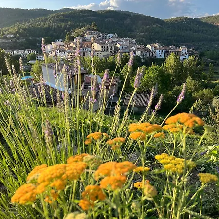 Летний дом La Casa De Moyas Ольба