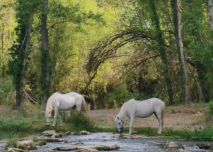 La Casa De Moyas Casa rural