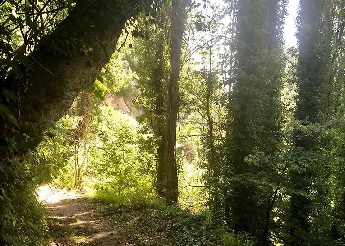 La Casa De Moyas Olba